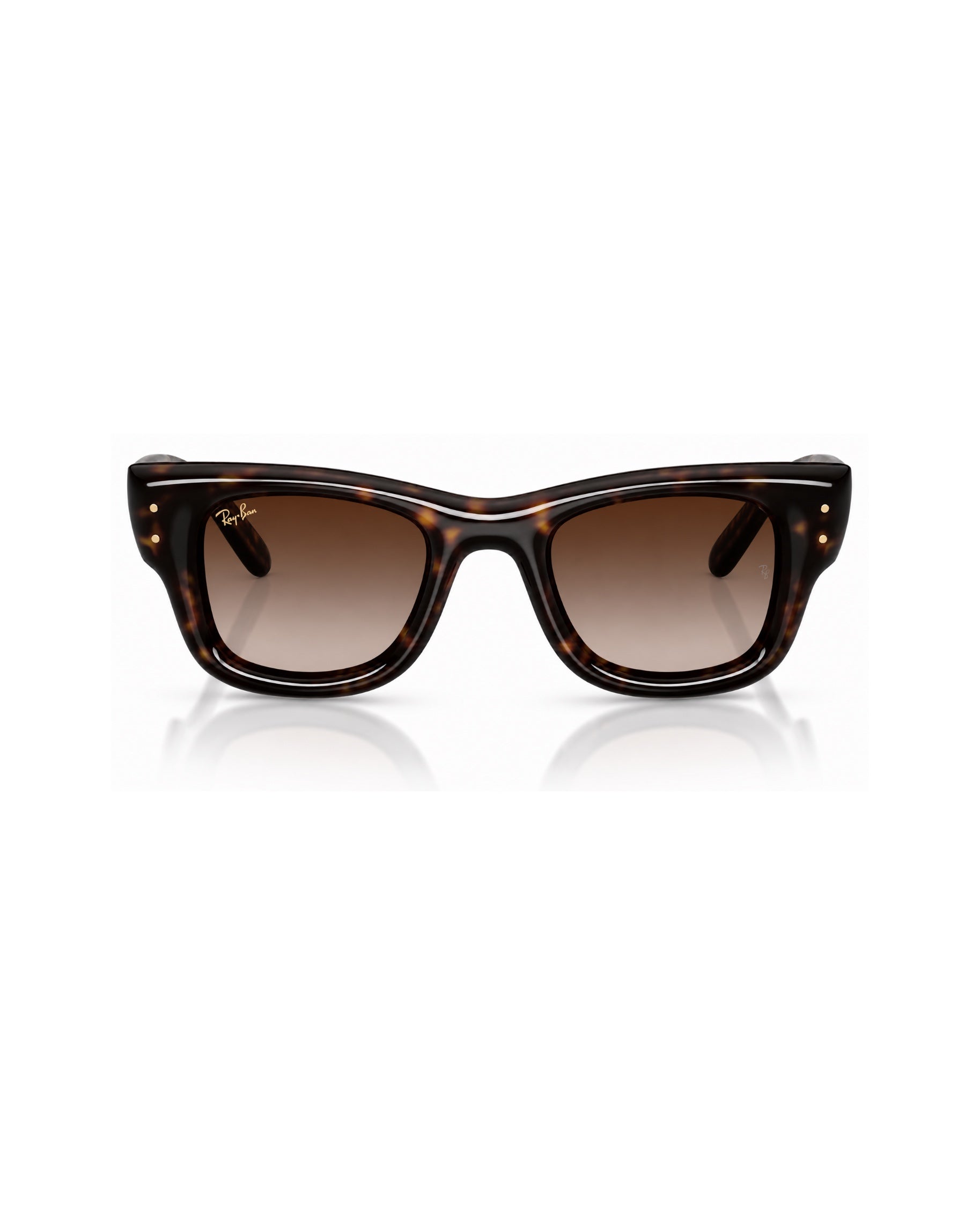 WAYFARER PUFFER RB4940