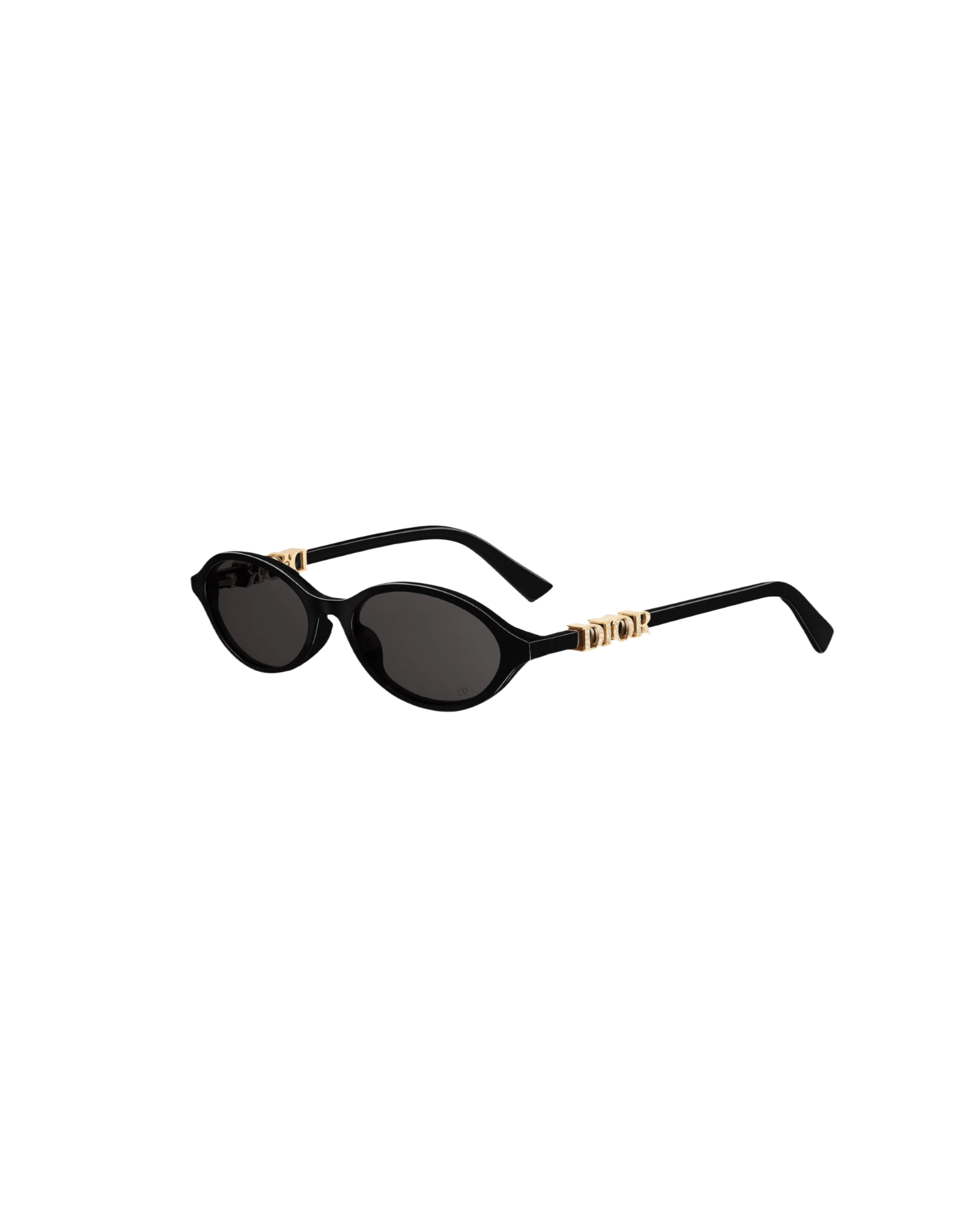 DIORTREASURE R1i