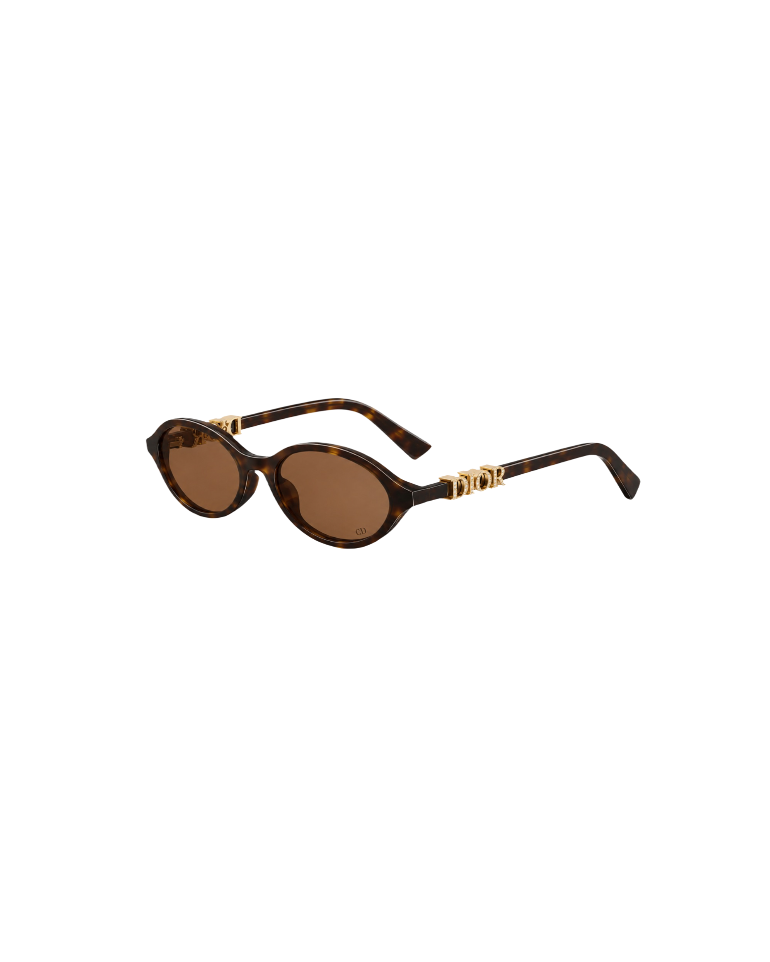 DIORTREASURE R1i